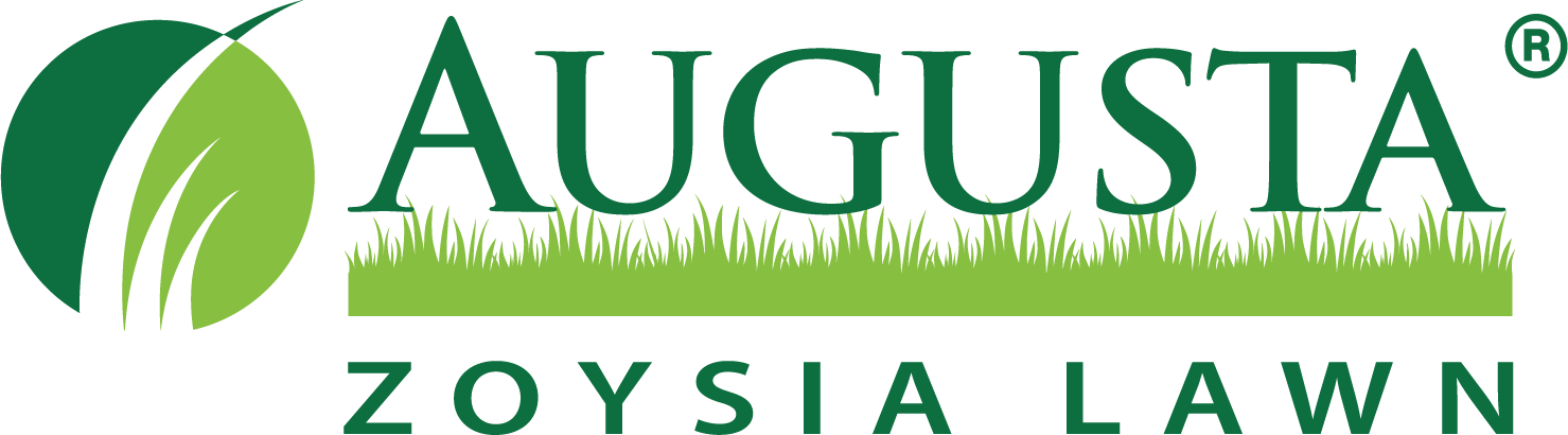 Augusta Zoysia